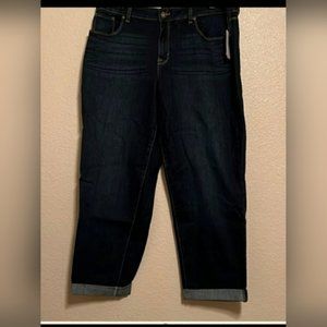 NWT Style & Co Curvy Boyfriend Jeans, no tags.